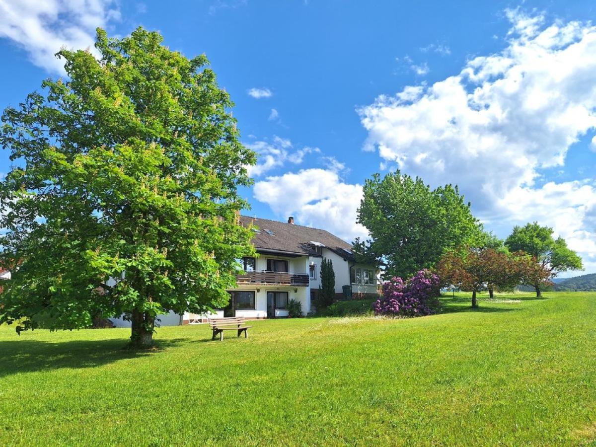 Pension Schneider Frauenau Bagian luar foto