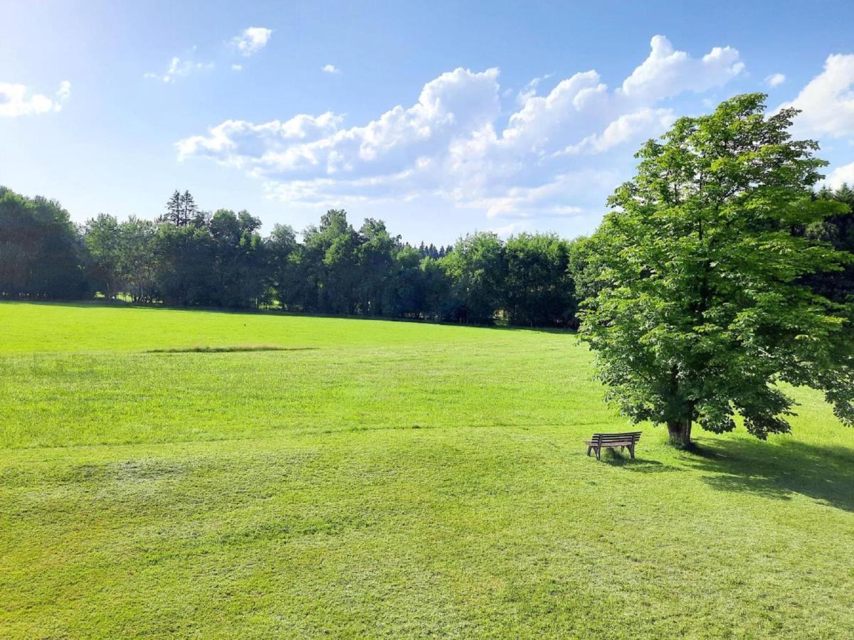 Pension Schneider Frauenau Bagian luar foto
