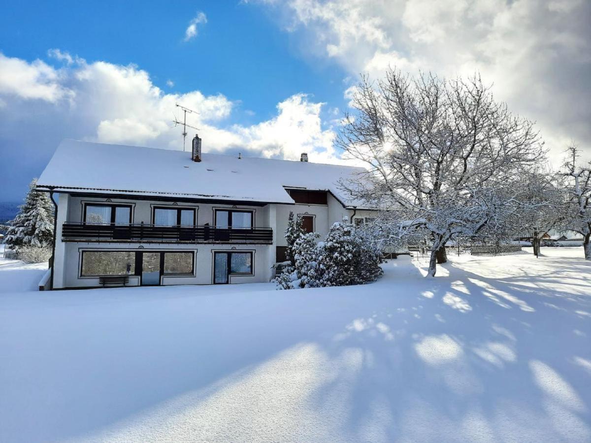 Pension Schneider Frauenau Bagian luar foto